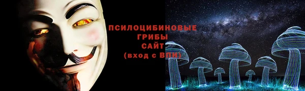jwh Каменногорск